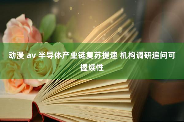 动漫 av 半导体产业链复苏提速 机构调研追问可握续性