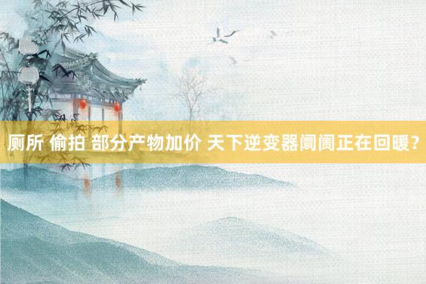 厕所 偷拍 部分产物加价 天下逆变器阛阓正在回暖？
