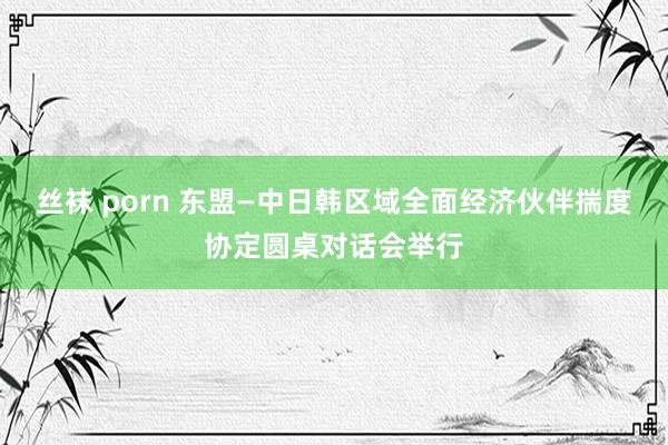 丝袜 porn 东盟—中日韩区域全面经济伙伴揣度协定圆桌对话会举行