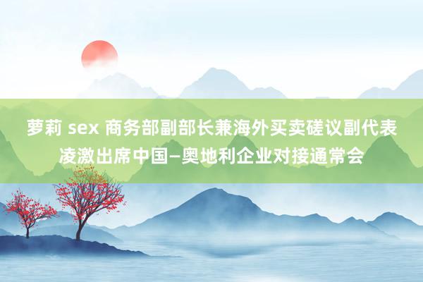 萝莉 sex 商务部副部长兼海外买卖磋议副代表凌激出席中国—奥地利企业对接通常会