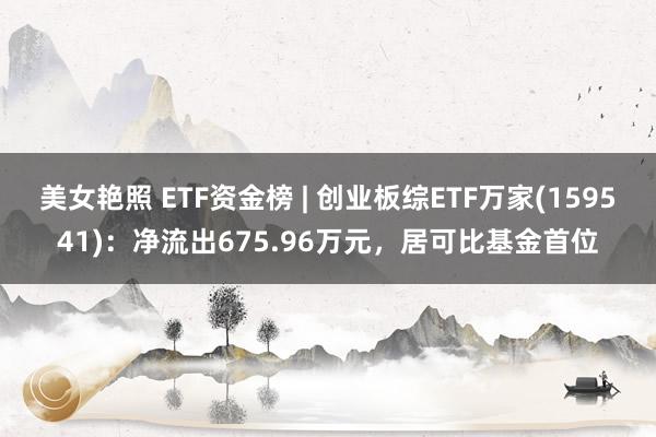 美女艳照 ETF资金榜 | 创业板综ETF万家(159541)：净流出675.96万元，居可比基金首位