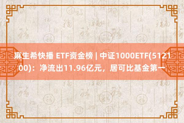 麻生希快播 ETF资金榜 | 中证1000ETF(512100)：净流出11.96亿元，居可比基金第一