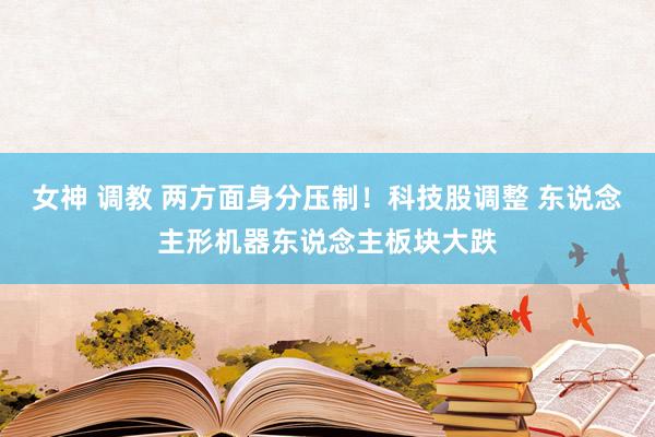 女神 调教 两方面身分压制！科技股调整 东说念主形机器东说念主板块大跌
