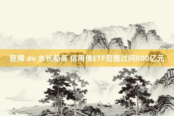 巨屌 av 水长船高 信用债ETF范围过问800亿元